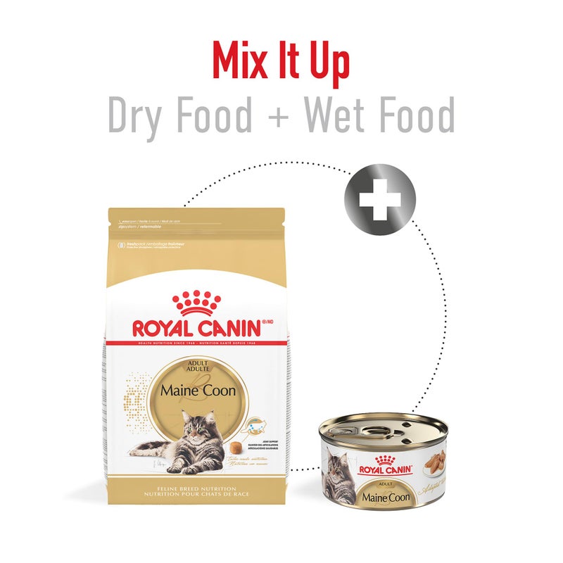 Royal Canin Feline Breed Nutrition Maine Coon Adult Dry Cat Food, 6 lb Bag - Image 4